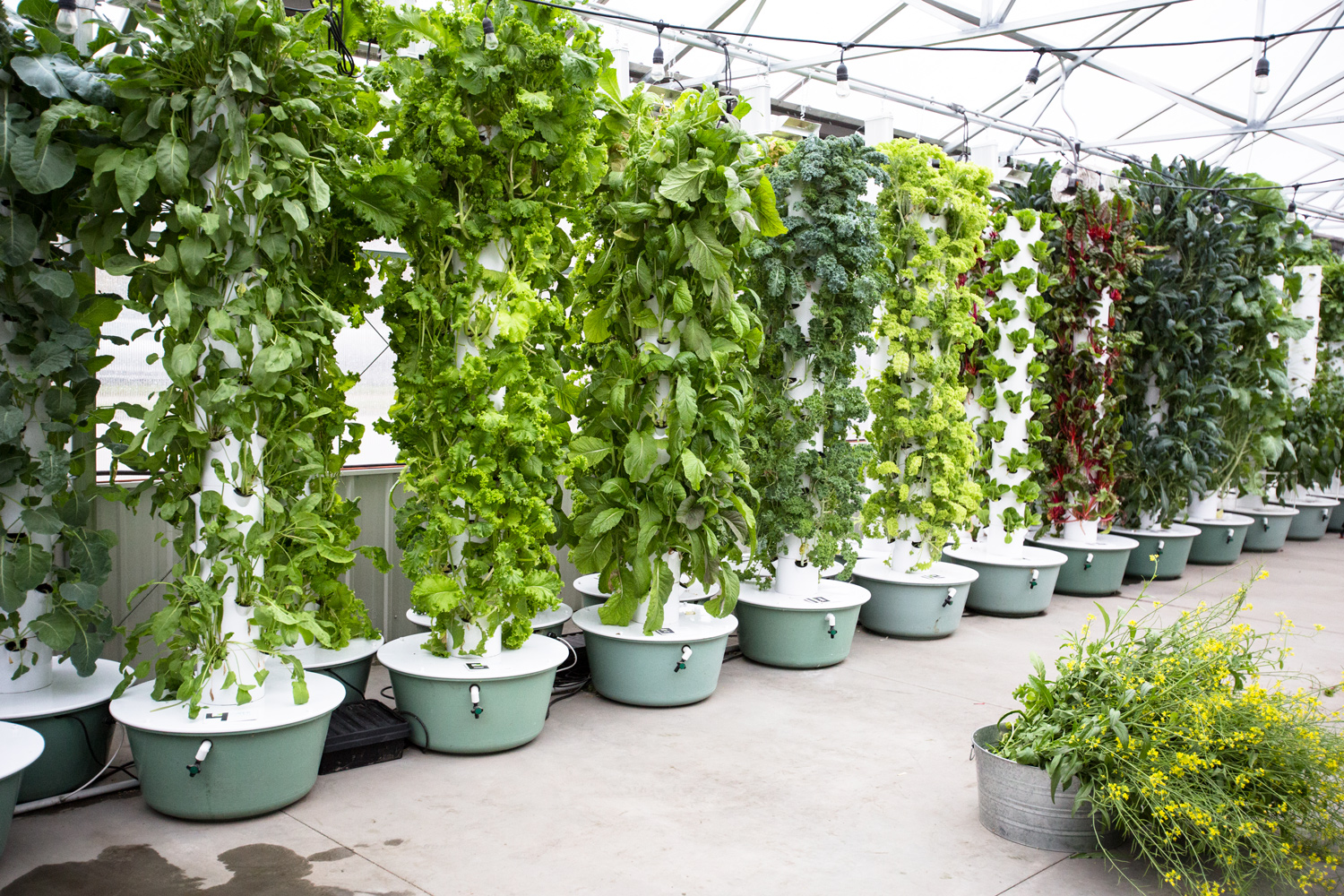 Tower Gardens At Hamilton Farms Greenhouse Moulin Events Meetings